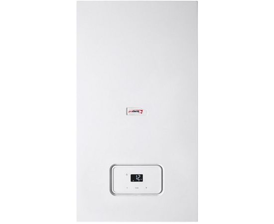 Газовый котел Protherm Рысь Lynx Condens25 MKO, изображение 2