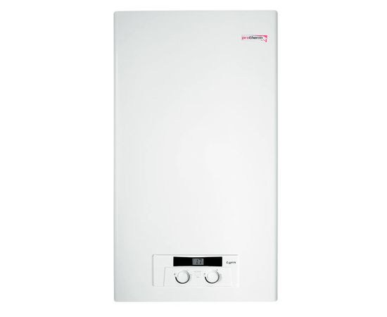 Газовий котел Protherm Рысь Lynx Condens 24, зображення 2