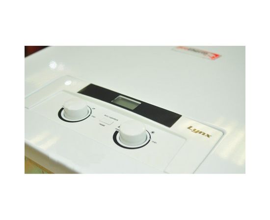 Газовый котел Protherm Рысь Lynx Condens 28, изображение 2