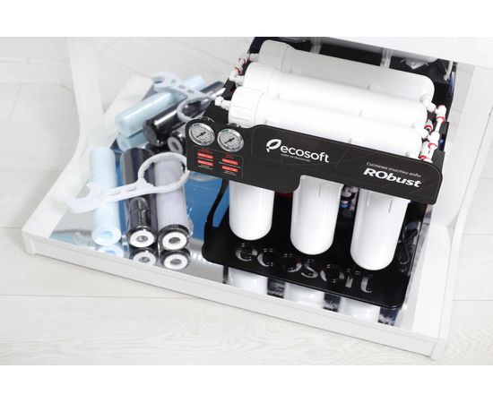 Фильтр для воды Ecosoft RObust 1000, изображение 5