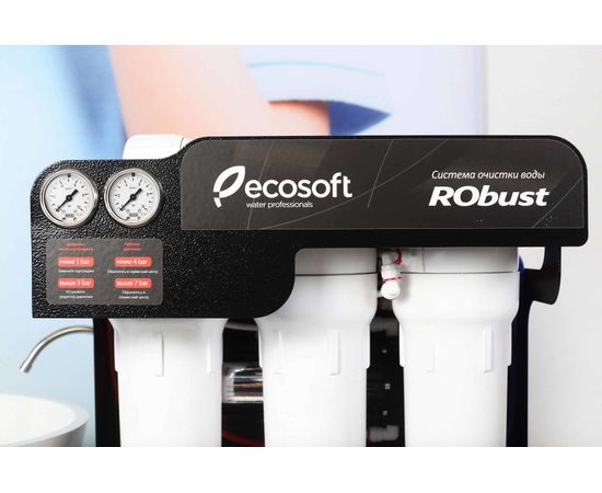 Фильтр для воды Ecosoft RObust 1000, изображение 4