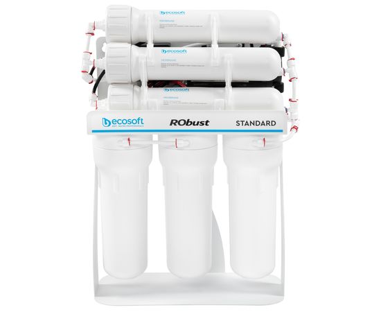 Фильтр для воды Ecosoft RObust Standart (ROBUST1000STD)